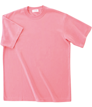 メッシュTシャツ（男女兼用） 吸汗 速乾入浴介助 綿混 シンプル 介護 【PT312】
